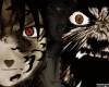 <b>Название: </b>669598188, <b>Добавил:<b> Uchiha_Itachi<br>Размеры: 100x80, 2.9 Кб